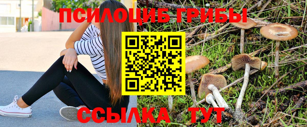 Галлюциногенные грибы Psilocybine cubensis  Вход с VPN  Псилоцибиновые грибы ЛСД  Лесосибирск 